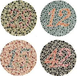 Colorblind persons do not see the numbers 29, 12, 15 and 42