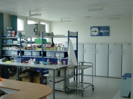 diagene lab